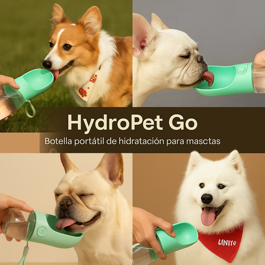 HydroPet Go | Botella de Hidratación Portátil